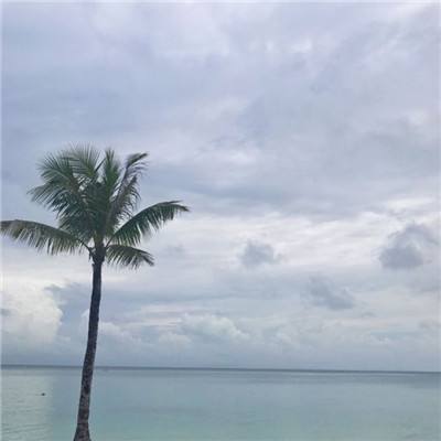 新宝十大登录平台