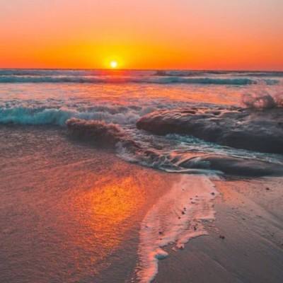 乐鱼娱乐app下载手机版