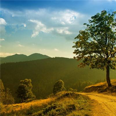 金年会娱乐app官方网站截图