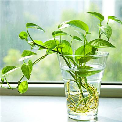 b体育官方APP下载安装截图